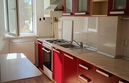 Apartament luminos cu 2 camera, mobilat, Sfantu Gheorghe, Simeria