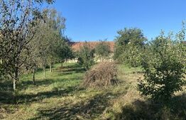 Casă de vânzare în centrul comunei Brateș, jud. Covasna