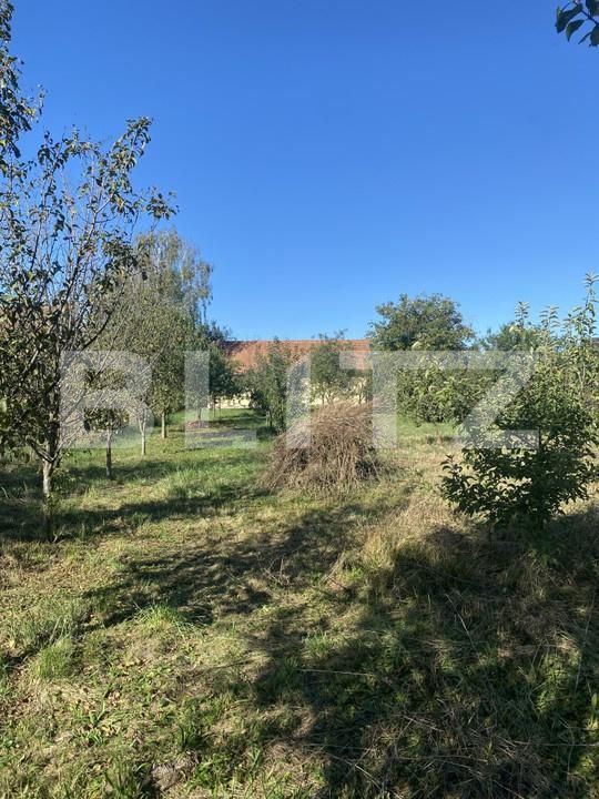 Casa de vânzare 2 camere Brates - 178066CV | BLITZ Sfântu Gheorghe | Poza16