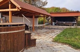 Casă de vanzare, sub pădure, într-un cadru natural deosebit – Sâncraiu