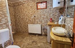 Casă de vanzare, sub pădure, într-un cadru natural deosebit – Sâncraiu