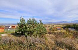 Casă de vanzare, sub pădure, într-un cadru natural deosebit – Sâncraiu