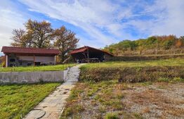 Casă de vanzare, sub pădure, într-un cadru natural deosebit – Sâncraiu