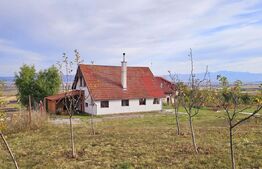 Casă de vanzare, sub pădure, într-un cadru natural deosebit – Sâncraiu