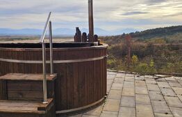 Casă de vanzare, sub pădure, într-un cadru natural deosebit – Sâncraiu