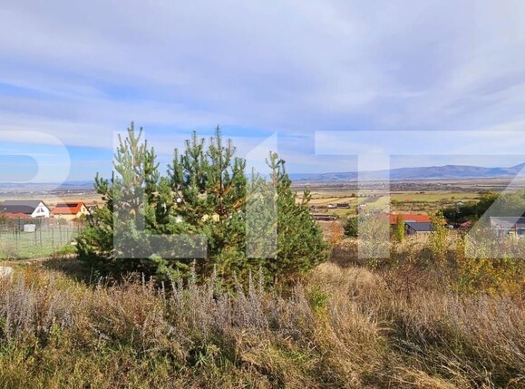 Casa de vânzare 2 camere Sancraiu - 180513CV | BLITZ Sfântu Gheorghe | Poza14