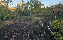 Casă de familie cu spațiu de relaxare complet - Sf.Gheorghe 