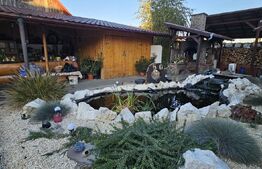 Casă de familie cu spațiu de relaxare complet - Sf.Gheorghe 