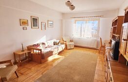 Apartament ultracentral, spațios, cu priveliște panoramică 