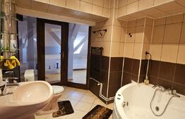 Apartament ultracentral, spațios, cu priveliște panoramică 