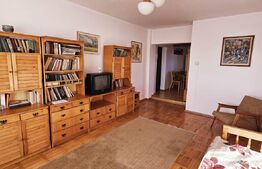 Apartament ultracentral, spațios, cu priveliște panoramică 