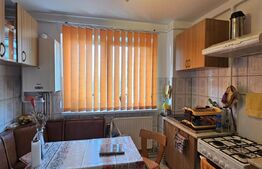 Apartament  3 Camere  Vedere Superba spre Lacul de Agrement zona Garii