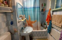 Apartament  3 Camere  Vedere Superba spre Lacul de Agrement zona Garii