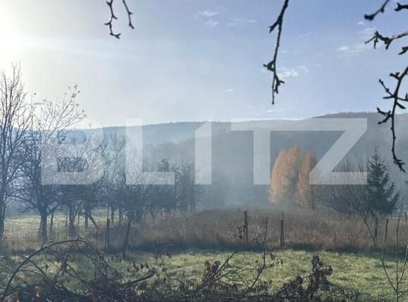 Casa de vânzare 2 camere Lisnau - 183181CV | BLITZ Sfântu Gheorghe | Poza3