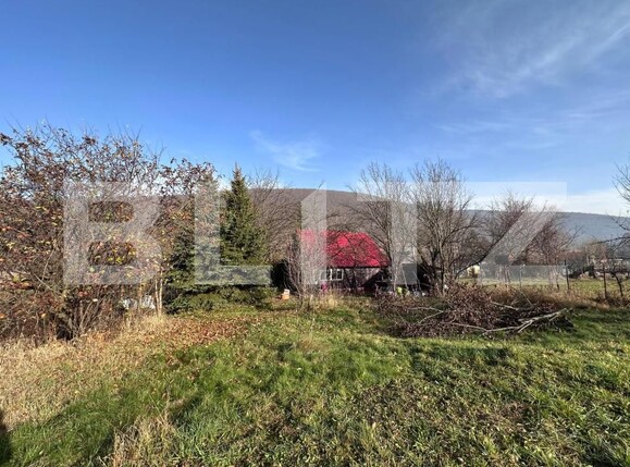 Casa de vânzare 2 camere Lisnau - 183181CV | BLITZ Sfântu Gheorghe | Poza2