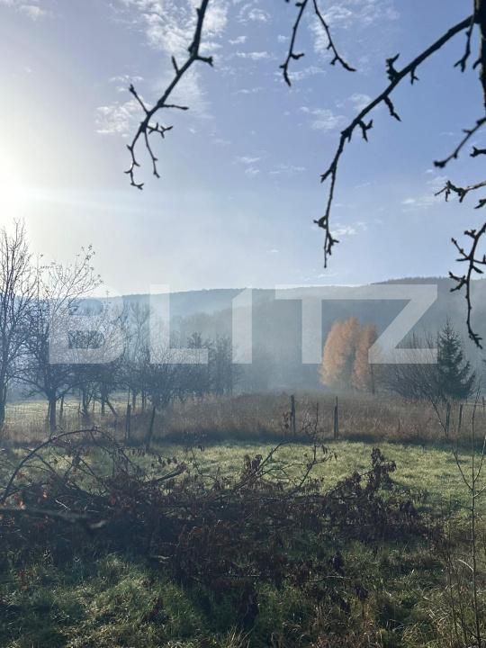 Casa de vânzare 2 camere Lisnau - 183181CV | BLITZ Sfântu Gheorghe | Poza3