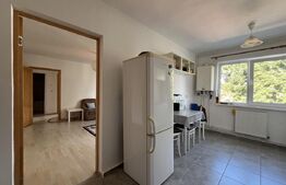 Apartament 2 camere, luminoasă - Sf.Gheorghe