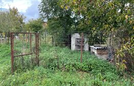 Casă țărănească în centrul localității Ilieni – teren 832 mp.