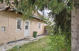 Casă țărănească în centrul localității Ilieni – teren 832 mp.