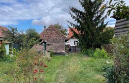 Casă țărănească în centrul localității Ilieni – teren 832 mp.