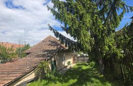 Casă țărănească în centrul localității Ilieni – teren 832 mp.