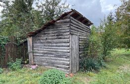 Casă țărănească în centrul localității Ilieni – teren 832 mp.