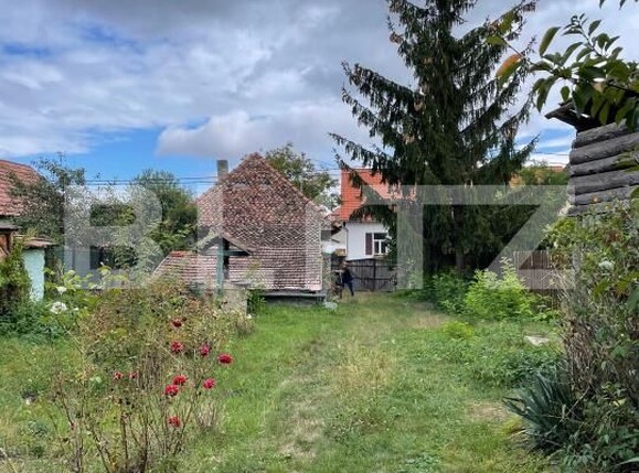 Casa de vânzare 2 camere Ilieni - 183466CV | BLITZ Sfântu Gheorghe | Poza3