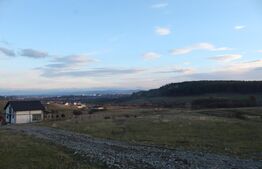 534 mp | PUZ aprobat P+1 | CF curat | Acces drum privat inclus