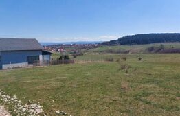 534 mp | PUZ aprobat P+1 | CF curat | Acces drum privat inclus