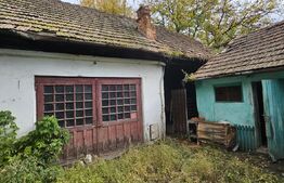 Casa in centru cu potential deosebit