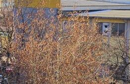 Apartament 3 camere, 2 băi, 2 balcoane, decomandat, centru - Sf.Gheorghe