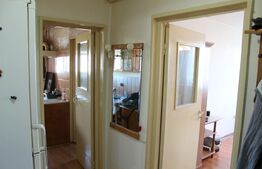 Apartament 2 camere decomandat| Panoramic | Soare, liniște și confort | Simeria