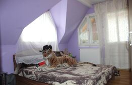 Vilă în stațiunea Covasna - ideală pentru locuință sau pensiune turistica