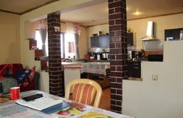 Vilă în stațiunea Covasna - ideală pentru locuință sau pensiune turistica