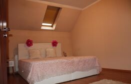 Casă cu etaj și spațiu comercial, vedere la pârtia de schi – Covasna