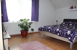 Casă cu etaj și spațiu comercial, vedere la pârtia de schi – Covasna