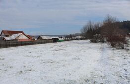 Teren de vânzare Chilieni - 179727TV | BLITZ Sfântu Gheorghe | Poza2