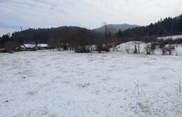 Teren intravilan 4.655 mp în Covasna – zonă liniștită, vedere la pădure