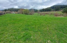 Teren intravilan 4.655 mp în Covasna – zonă liniștită, vedere la pădure