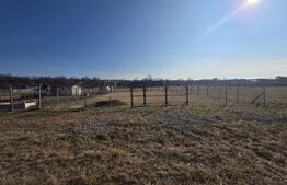 Teren intravilan imprejmuit intr-o zona linistita la Zoltan.