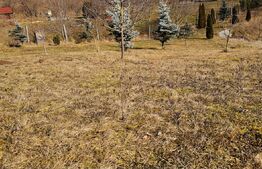 Oază de liniște în Arcus – casă P+M cu teren de 2000 mp