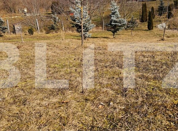 Casa de vânzare 3 camere Arcuş - 187498CV | BLITZ Sfântu Gheorghe | Poza6