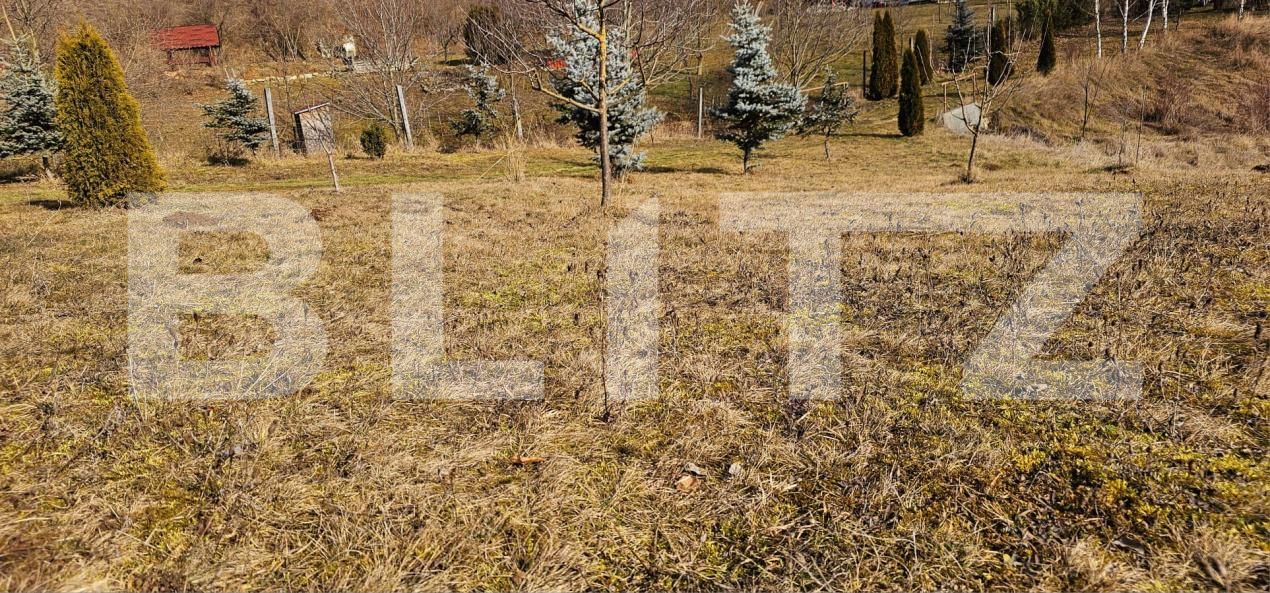 Casa de vânzare 3 camere Arcuş - 187498CV | BLITZ Sfântu Gheorghe | Poza6