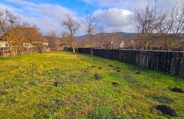 Casa de caramida in Bicfalau