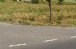 Teren intravilan 5.600 mp cu deschidere la DN12 – Chilieni, Covasna