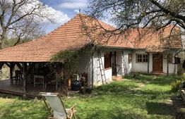 Casă rustică cu livadă în Zălan