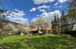 Casă rustică cu livadă în Zălan, com. Bodoc, jud. Covasna