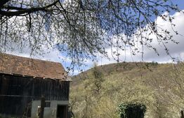 Casă rustică cu livadă în Zălan