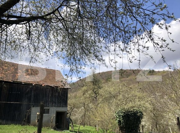 Casa de vânzare 3 camere Zalan - 188148CV | BLITZ Sfântu Gheorghe | Poza3