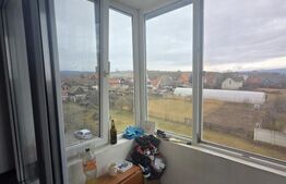 Apartament cu 2 camere, renovat si mobilat